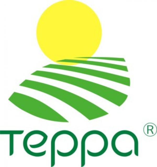 Terra