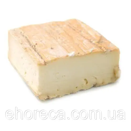 Таледжіо "IGOR"